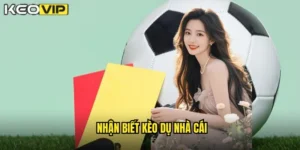 nhận biết kèo dụ nhà cái