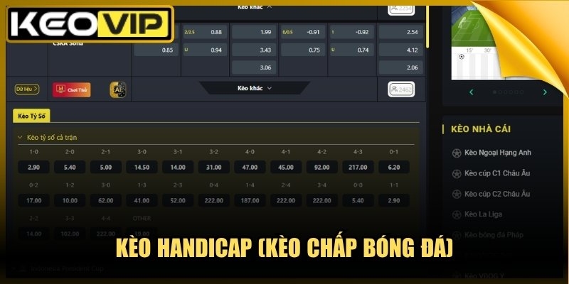 Trang chủ 11 Kèo Handicap (Kèo Chấp Bóng Đá)